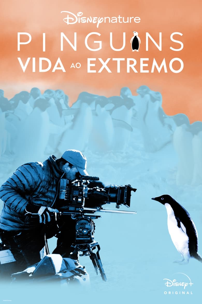 Pinguins: Vida ao Extremo